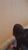 Alfombra Petra Silver Sand de Polipropileno – MiluRugs